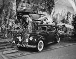 Alvis TC21/100 1953 года